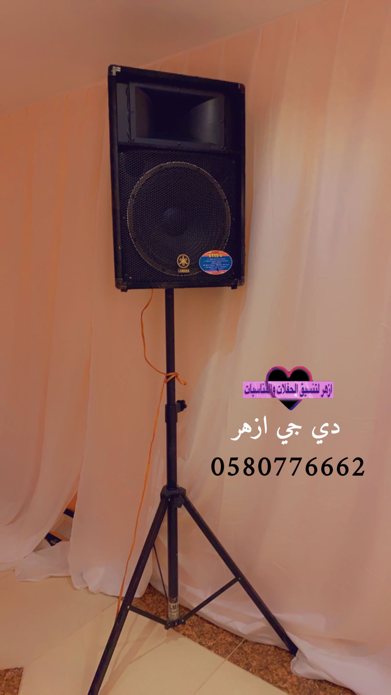 صورة 6
