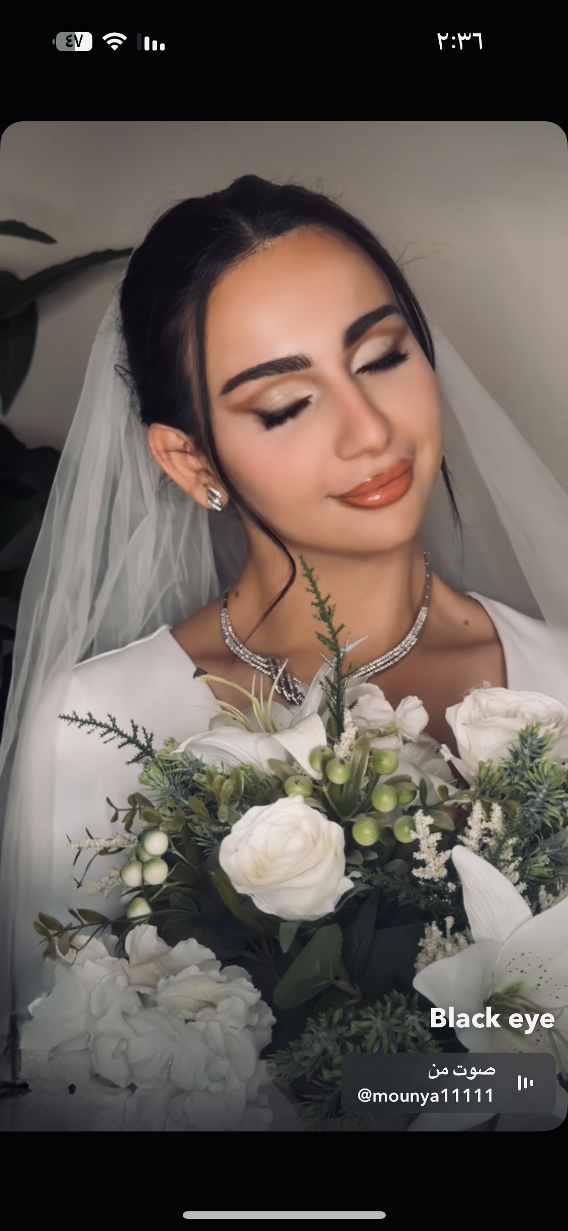 عروس بطلة ملكية راقية